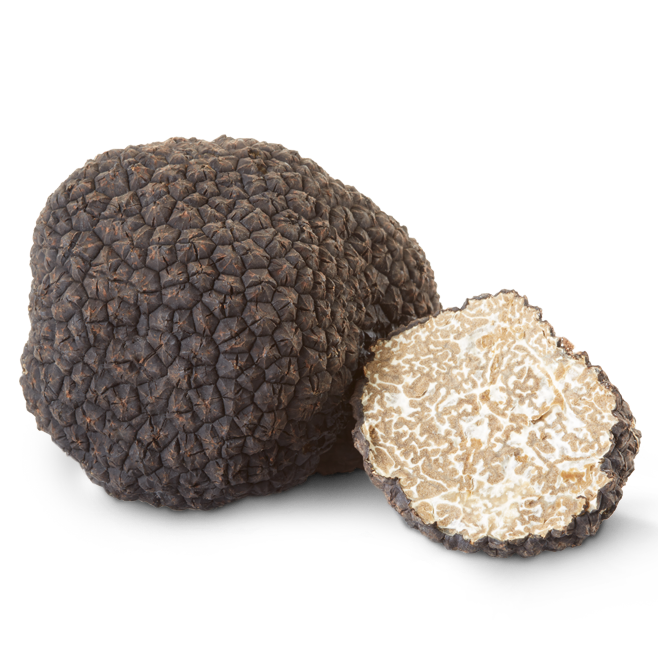 truffle-image